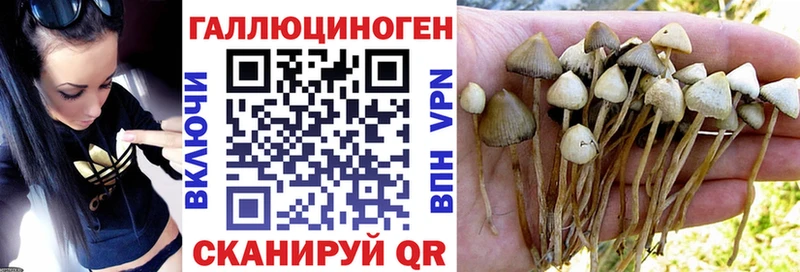 цены наркотик  мега tor  Псилоцибиновые грибы мицелий  Усмань 